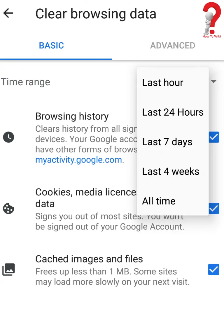 How To Clear History On Google Chrome HowToWiki