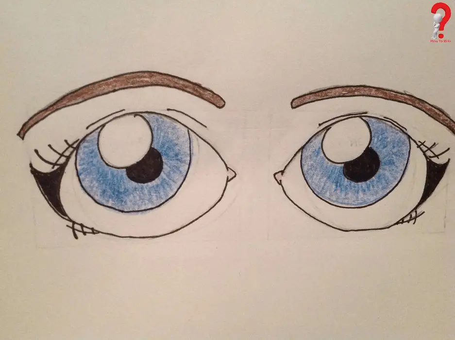 Draw Eyes Cartoon
