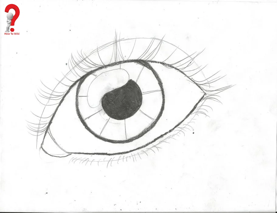 Draw Eyes Step By Step For Beginners