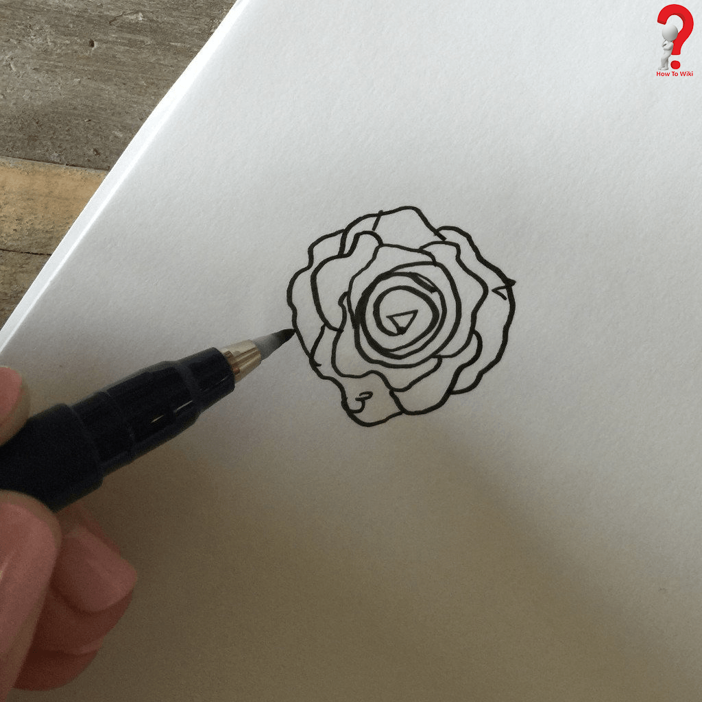 Draw An Open Rose