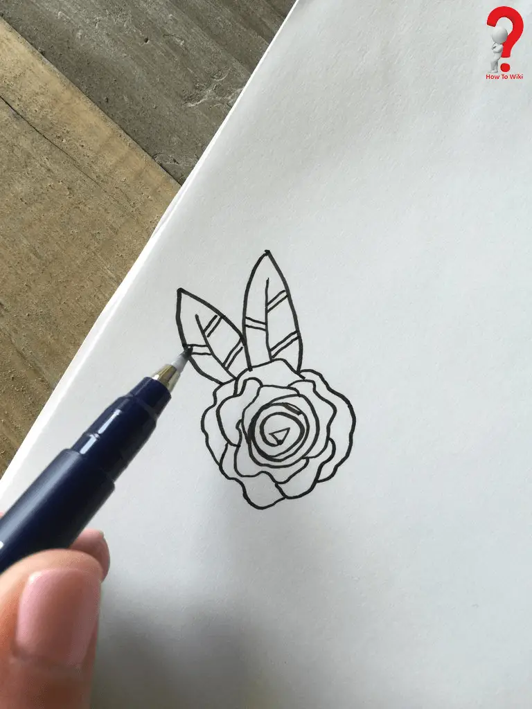 Draw An Open Rose