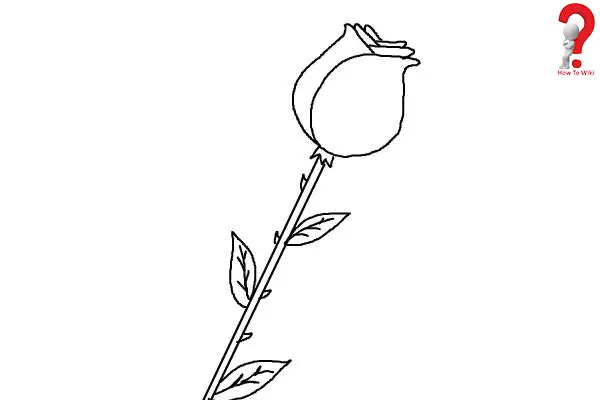 Draw A Rose Flower Easy