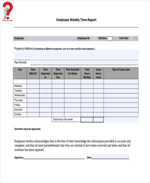 how-to-write-a-weekly-report-complete-guide-howtowiki