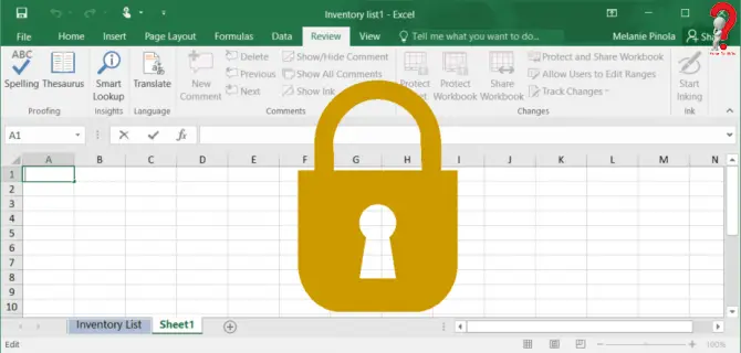 how to lock Excel Cells