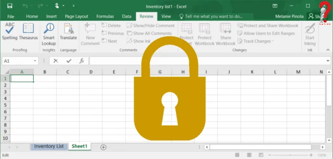 how to lock Excel Cells