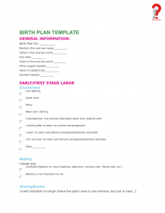 How To Write A Free Birth Plan Template | HowToWiki