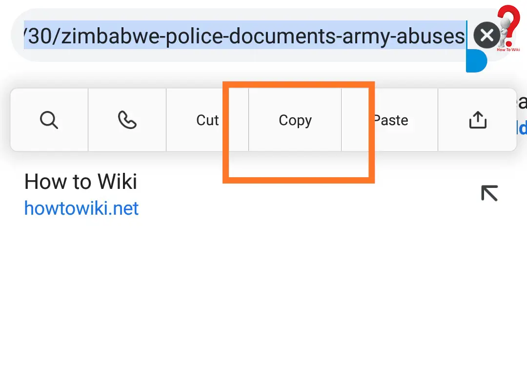 How To Copy And Paste URLs On Android