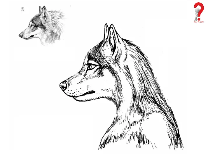 Drawing of Furries