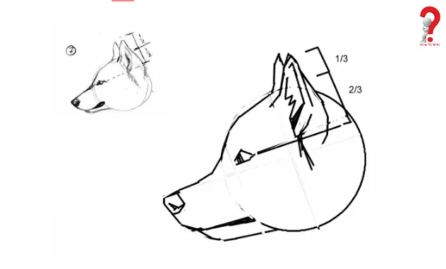 How to Draw Furries? -Step by Step Guide 6 Steps To Draw Furries for kids