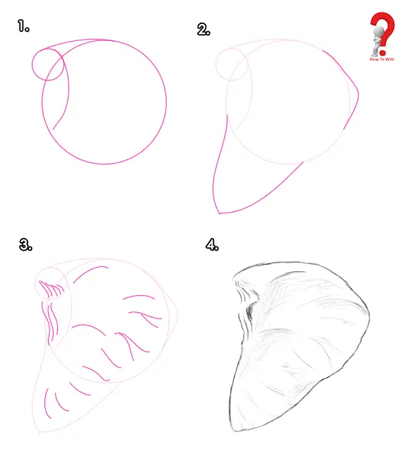 Draw Elephant Ears