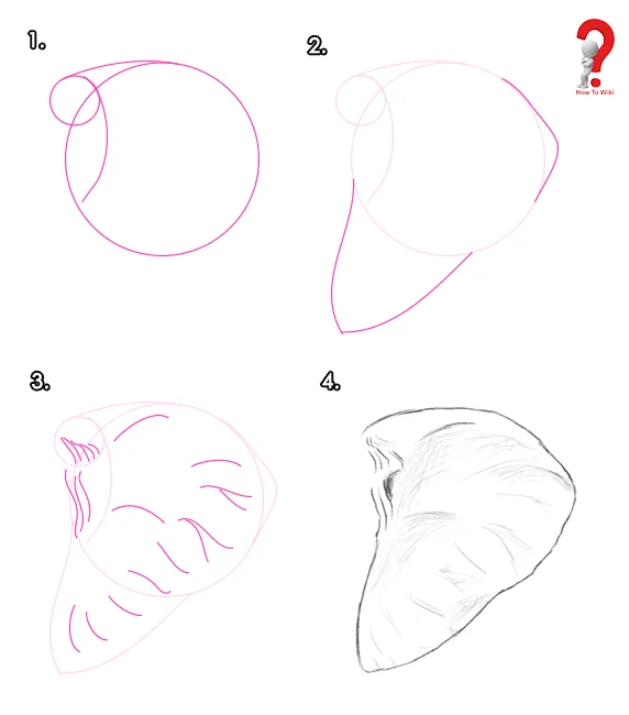 Draw Elephant Ears