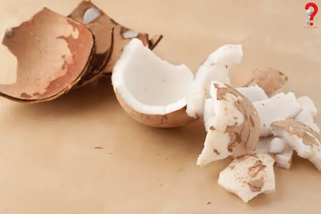 To open a coconut