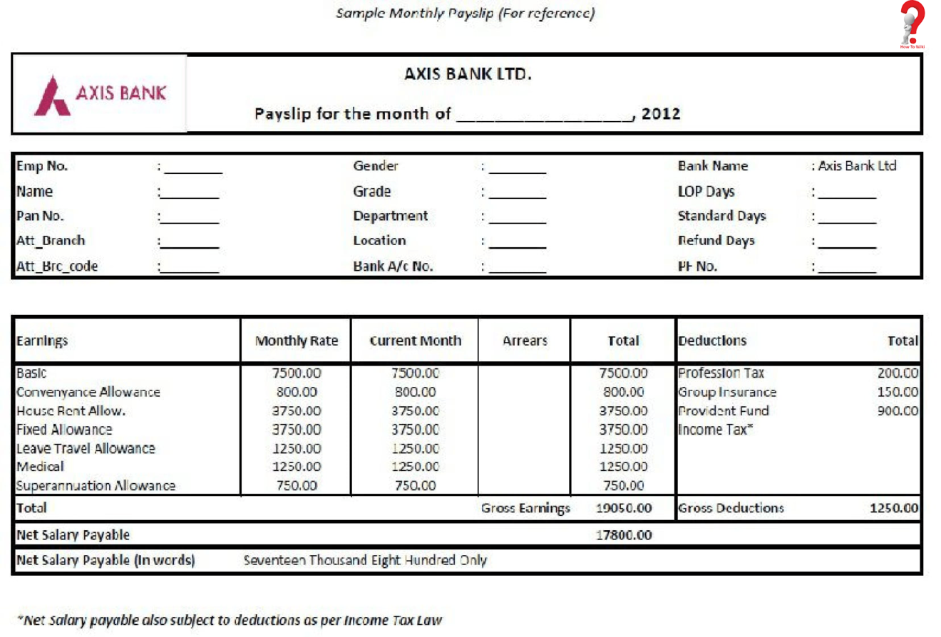 government salary slip format