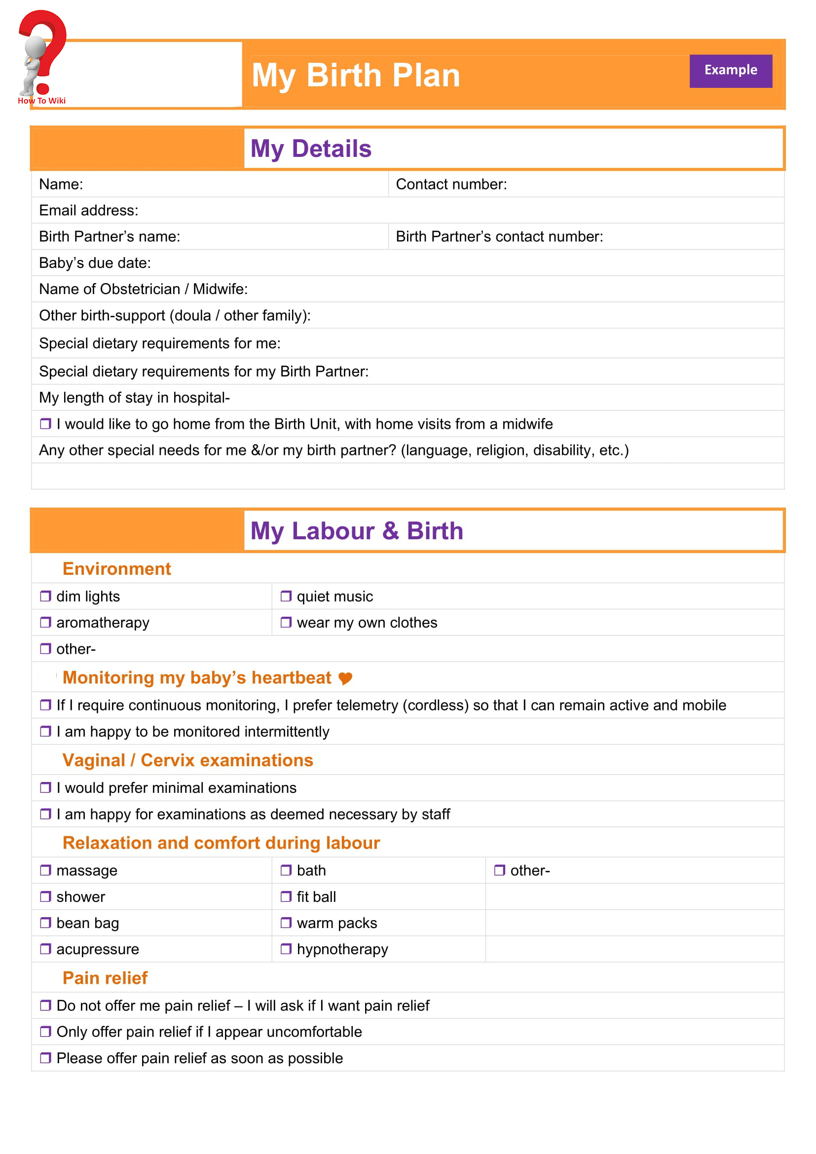 Visual Birth Plan Template