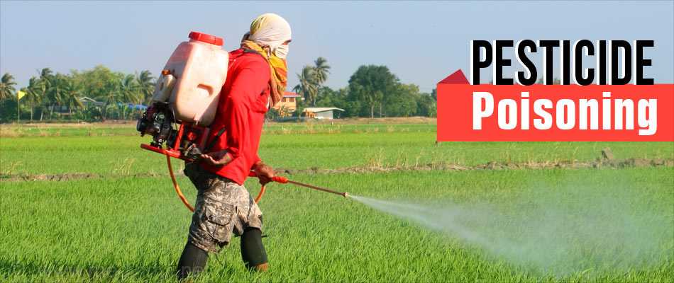 pesticide poisoning