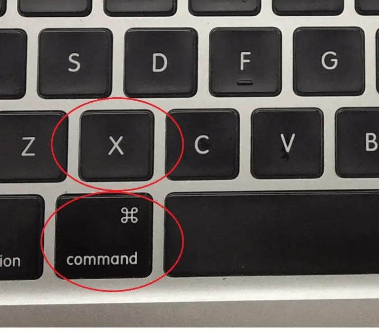 mac cut and paste commands