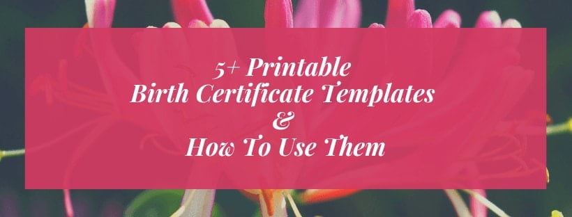 Birth Certificate Templates 