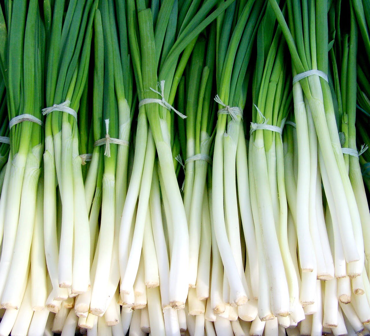 how to cut green onions