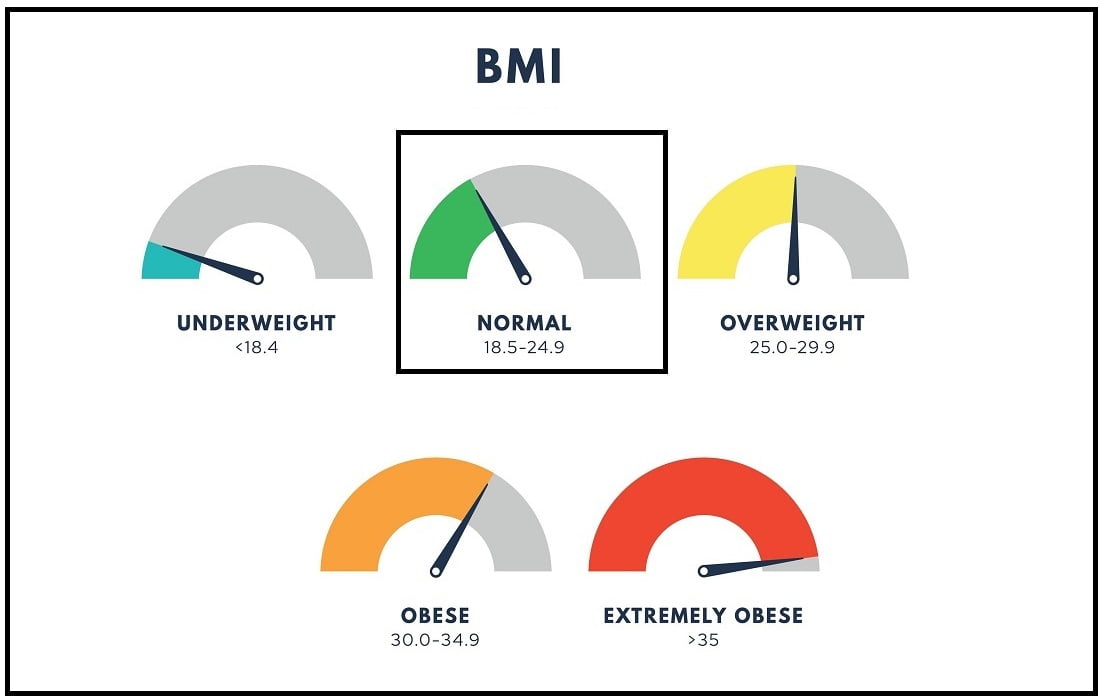 body-mass-index-or-mass-index-scale-types-of-bmiweight-loss-concept-vector-isolated-illustration
