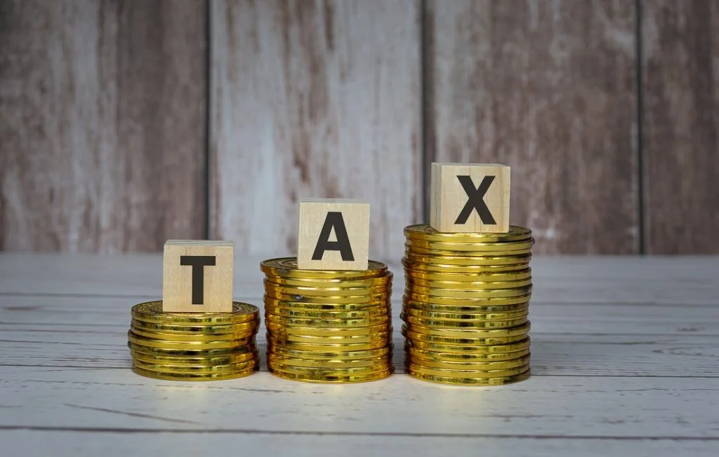 Benefits of Professional Tax Preparation